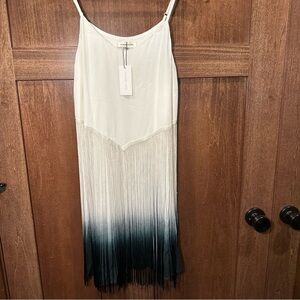 Sugarlips Dip Dye Fringe Dress
